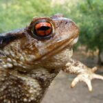 Jak se starat o pokožku po soláriu? Klíč k zdravému opálení 3 Jak se starat o pokožku po soláriu? Klíč k zdravému opálení