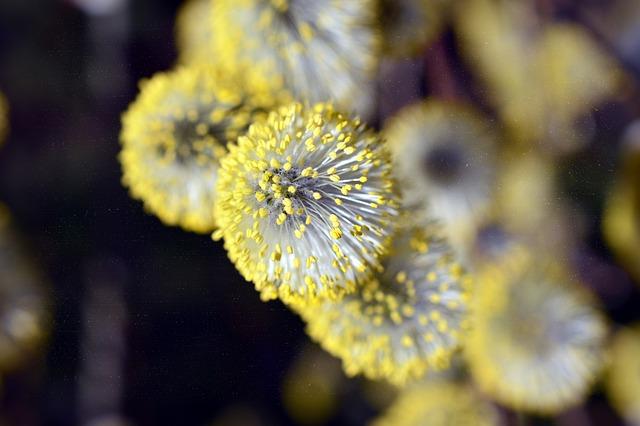 Alergie na Solárium: Příčiny, Příznaky a Řešení