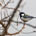 Jak zakrýt bradavky při opalování: Triky, které musíte znát