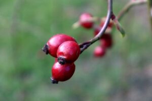 Malé děti se nemají opalovat: Mýtus nebo fakt? 5 Malé děti se nemají opalovat: Mýtus nebo fakt?