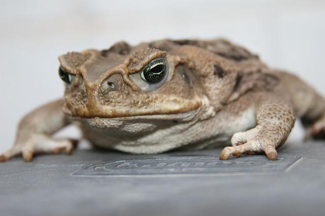 Jak chránit pokožku při přirozeném opalování na slunci?