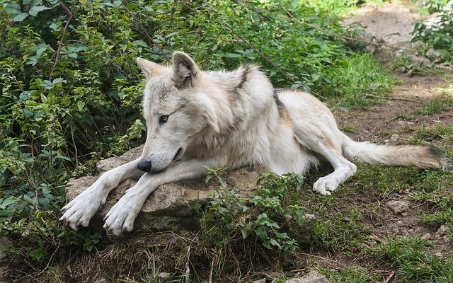 Jak prodloužit životnost vašeho oblíbeného krému na opalování