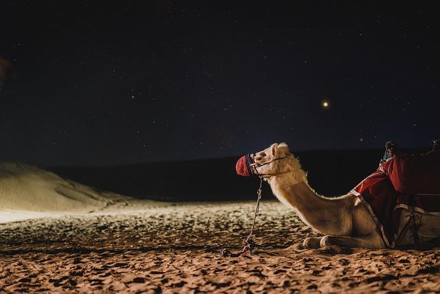 Nejlepší místa k relaxaci na slunci v Dubaji