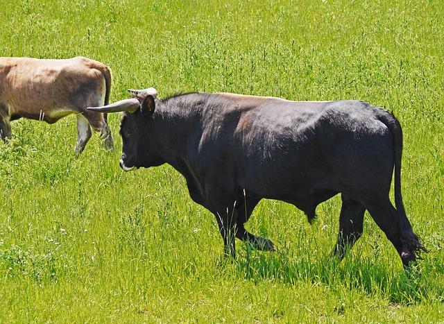 Jak ‍si užít celoroční⁣ bronz bez rizika?