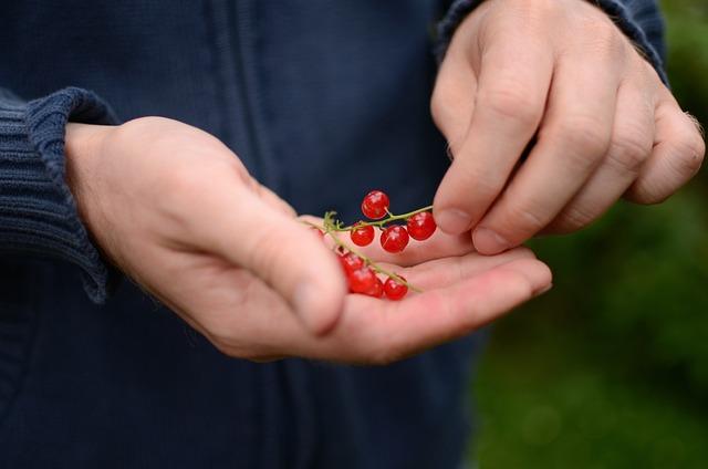 Jaký je vliv bio kosmetiky na pokožku ve srovnání s běžnými produkty