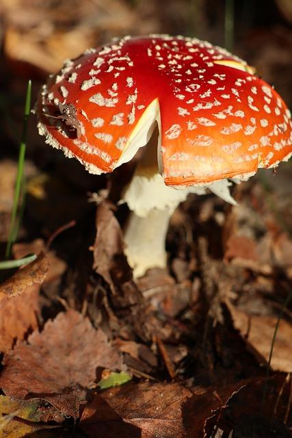 Rizika spojená s návštěvou solária během těhotenství